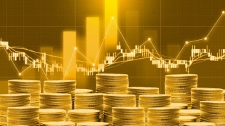 SỞ HỮU CỔ PHẦN VIETNAM TOURIST – LỢI NHUẬN 20%/NĂM, TĂNG TRƯỞNG BỀN VỮNG!