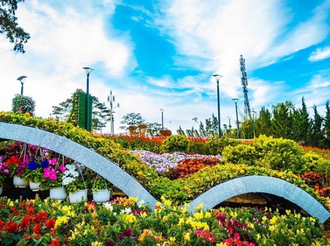 Vietnam Tourist Tân Bình