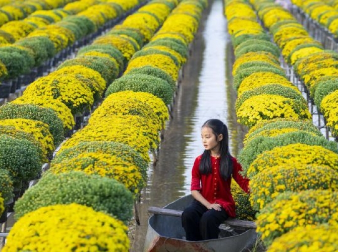 Vietnamtourist Tân Bình