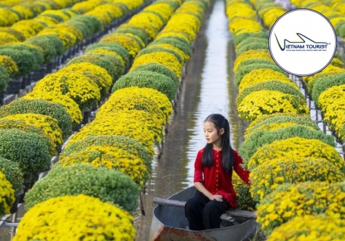TOUR LÀNG HOA SA ĐÉC - VƯỜN QUÝT HỒNG LAI VUNG 2025
